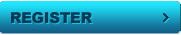 ice hockey manager